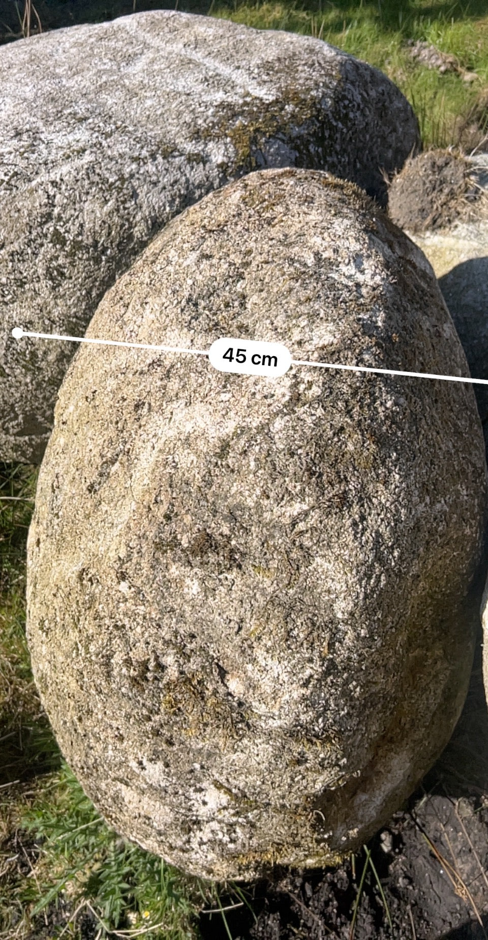 Granite Glacial Landscape Boulders, Large Specimen Stones, Sold Individually