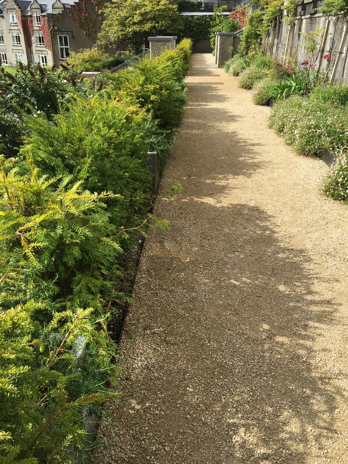 Ailesbury Golden Pathway / Driveway Holding Dust in bulk bags / free delivery Ireland!