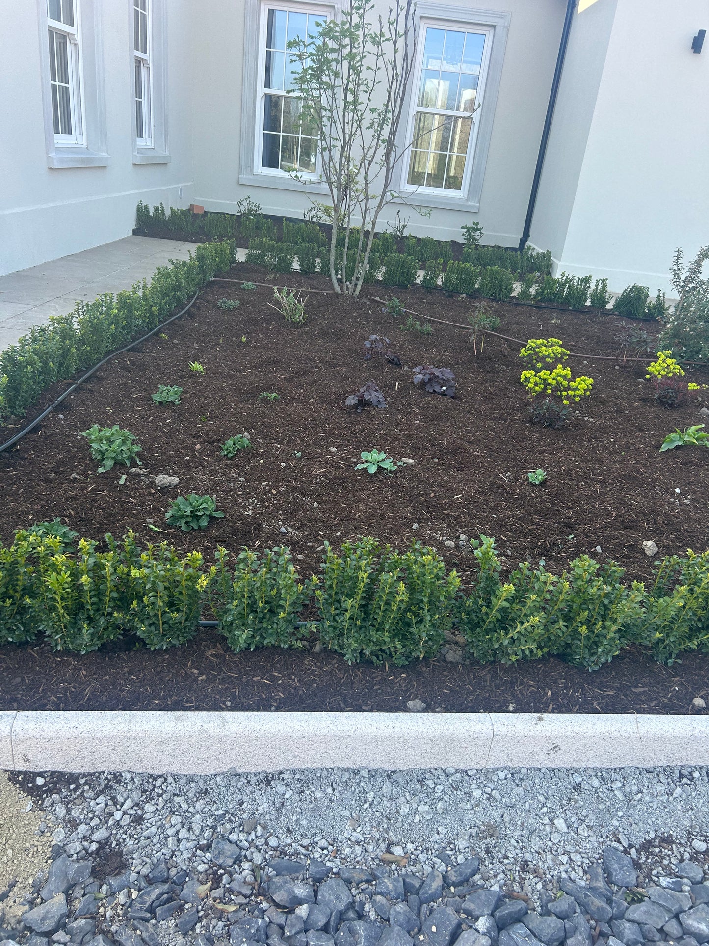 Dalkey Golden Granite Bullnose Driveway Kerbs 6” High x 2” x 39” x 10 linear meter pallet / free delivery Ireland