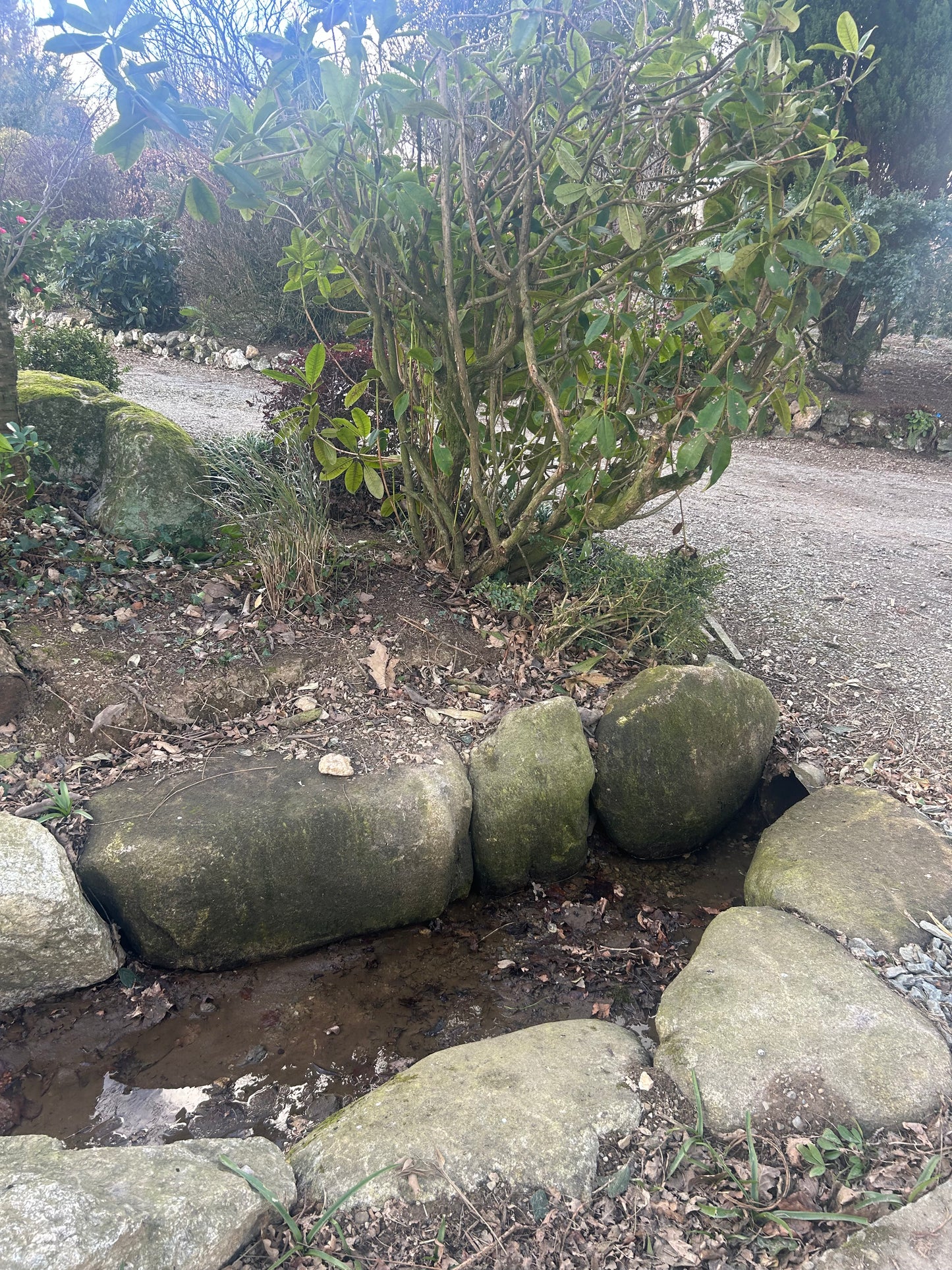Granite Glacial Landscape Boulders, Large Specimen Stones, Sold Individually