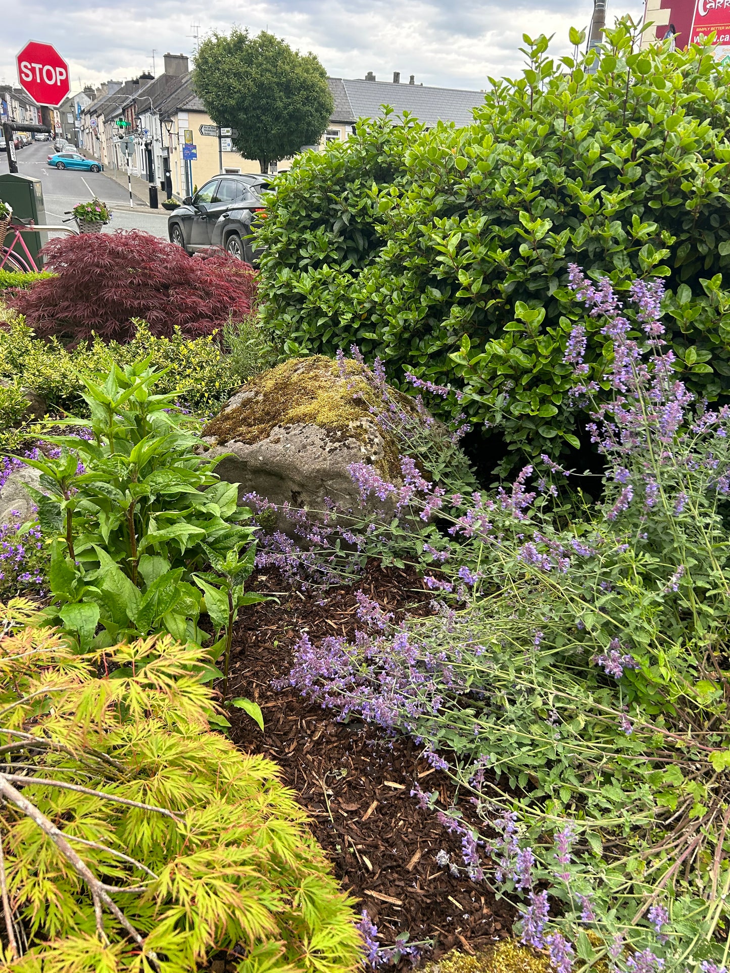Ballycotton Pond Landscaping Boulders Per Pallet