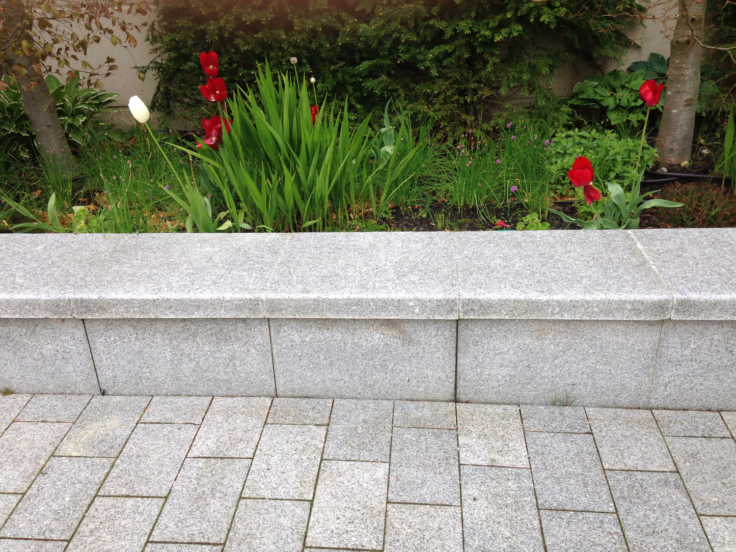 Merrion Silver Grey Granite 80mm Heavy Duty Flat Wall Caps x 450mm x 5 Lm on a pallet/ Free Delivery in Ireland