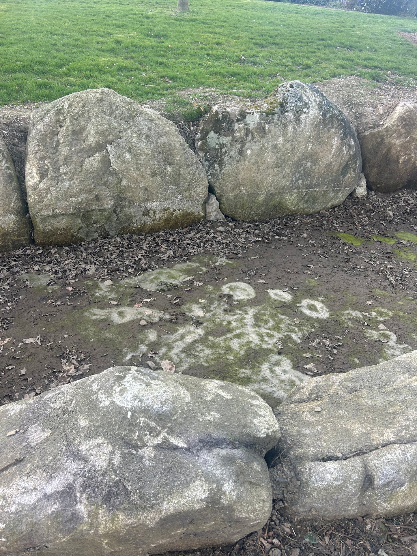 Granite Glacial Landscape Boulders, Large Specimen Stones, Sold Individually