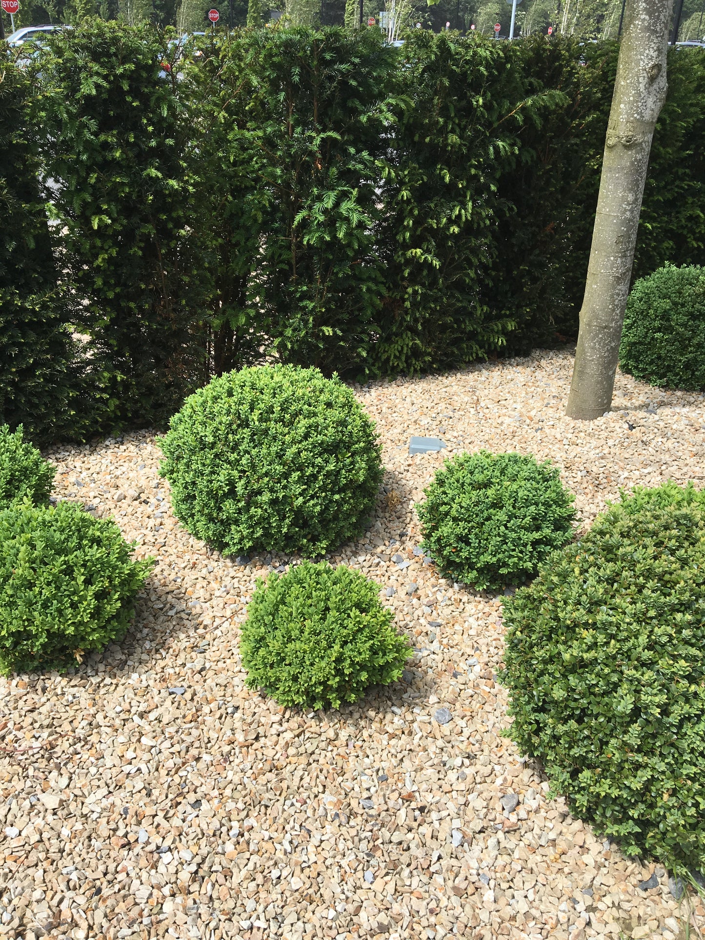 Kildare Village Golden Flowerbed Mulch 20mm Chippings / Bulk Bag