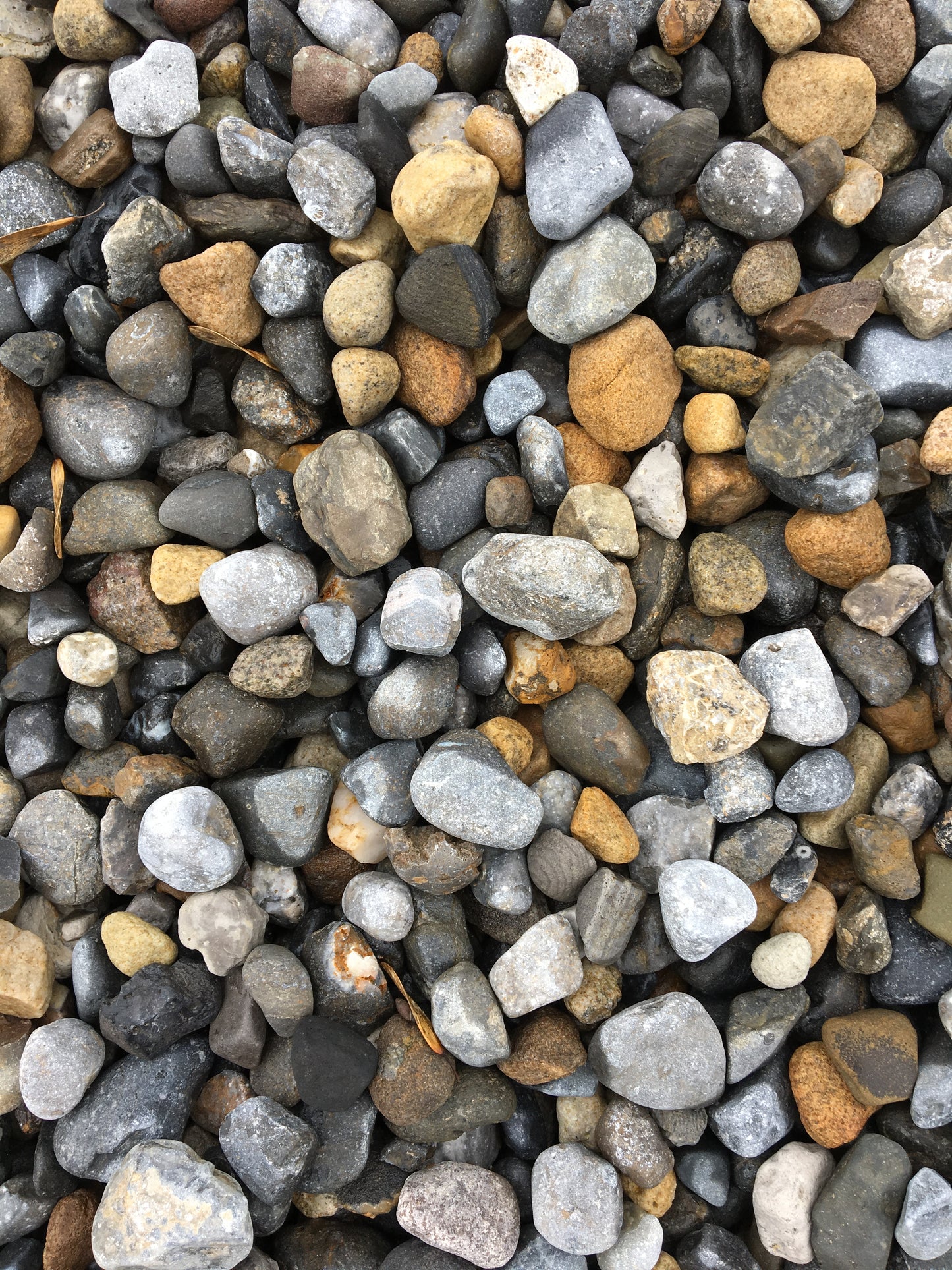 Kinsale Driveway 20mm Round Sea Driveway Pebble x 30 ton Bulk load ( 450m2 coverage ) Free Shipping!