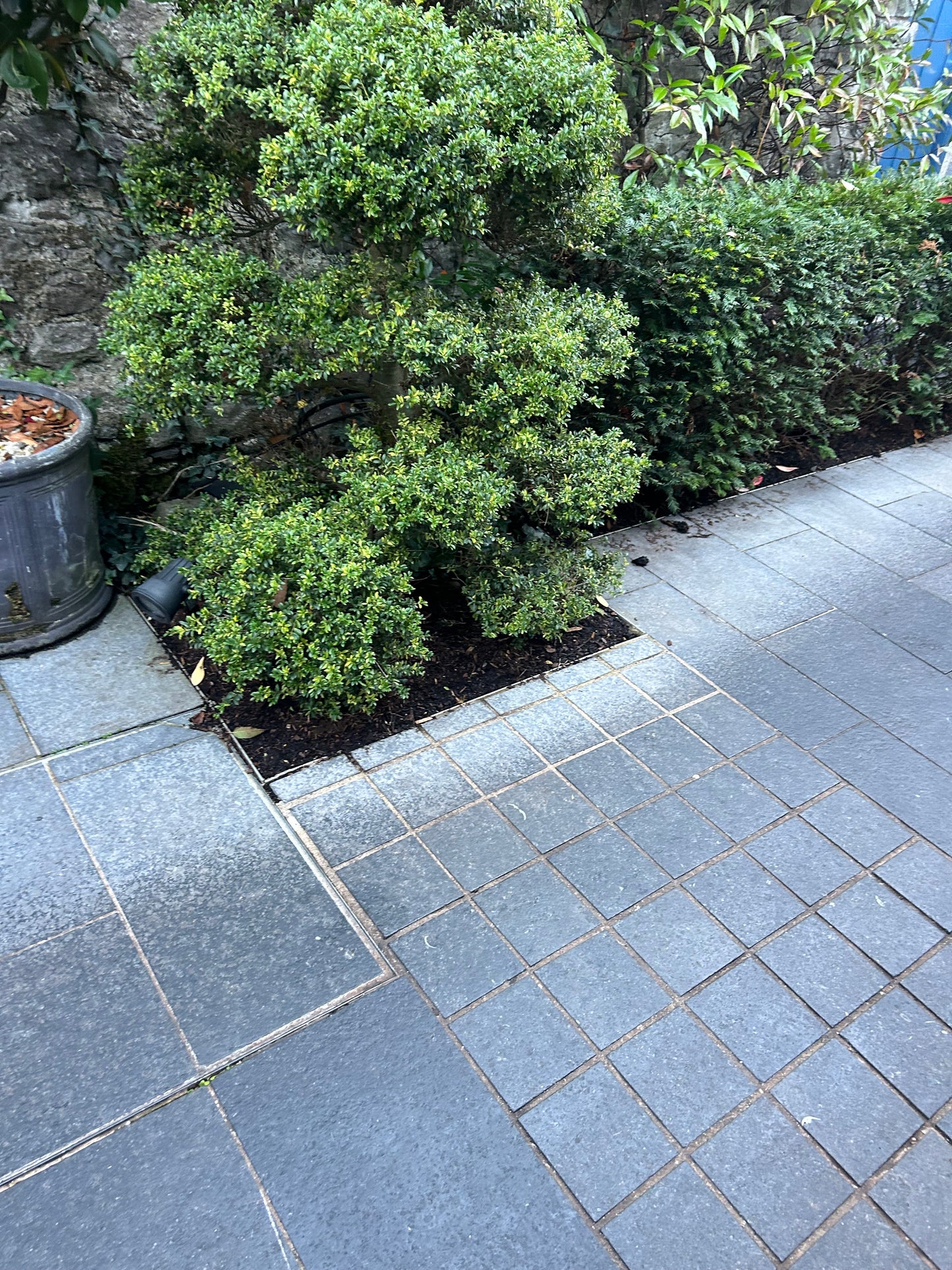Kilkenny Blue Limestone Paving Stone 60cm x 30cm x 20mm x 10m2 on pallet/ Free Delivery In Ireland