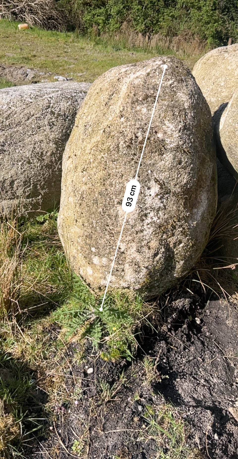 Granite Glacial Landscape Boulders, Large Specimen Stones, Sold Individually