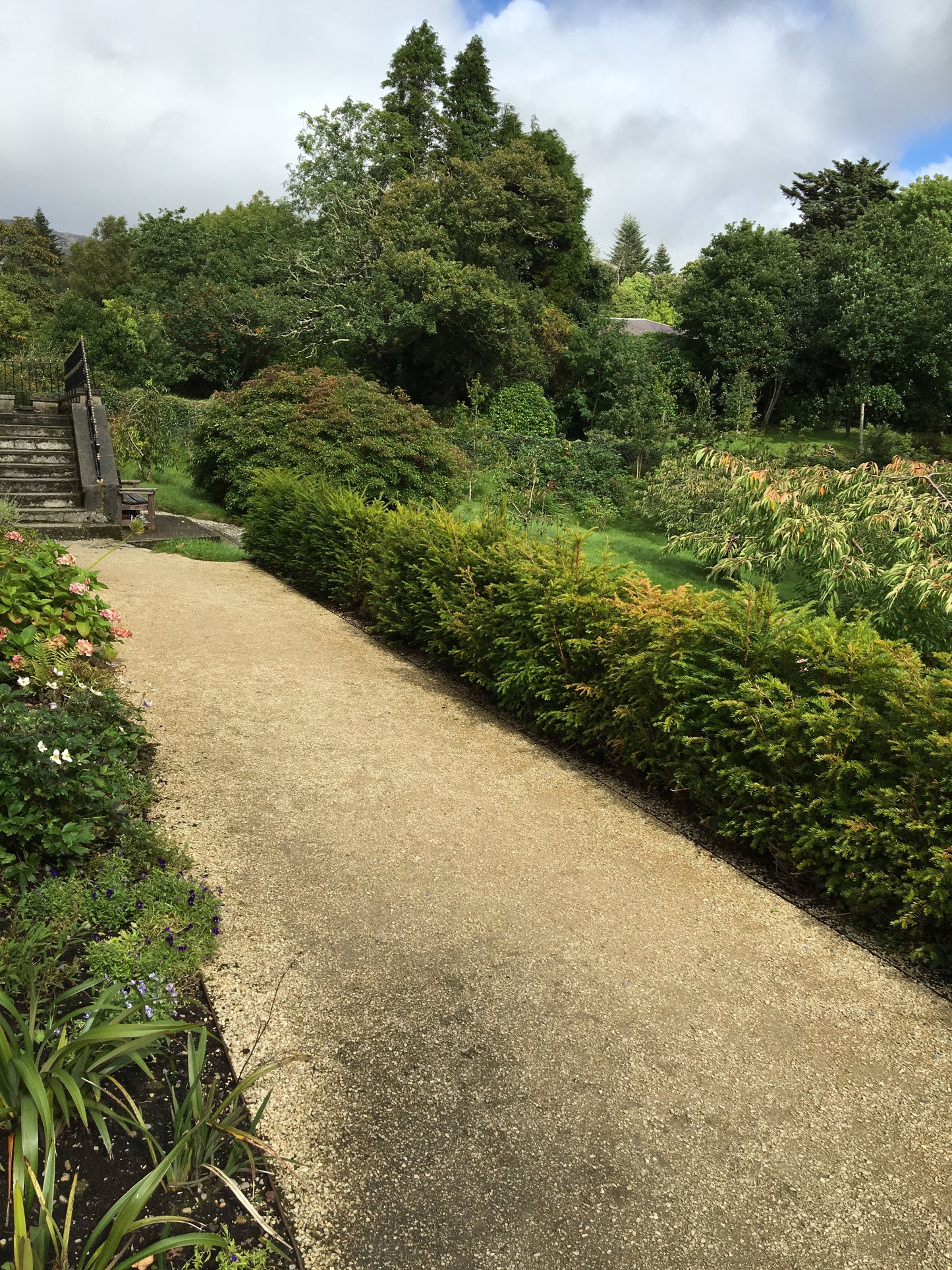 Ailesbury Golden 10mm Driveway Chippings per bulk bag / free delivery in Ireland!