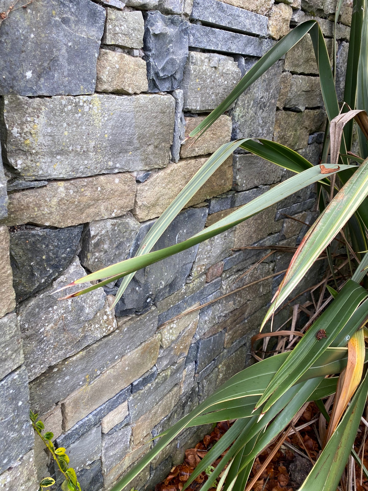 Wild Atlantic Way Irish Classic Building Stone Mix in Bulk Bags / Free Delivery in Ireland