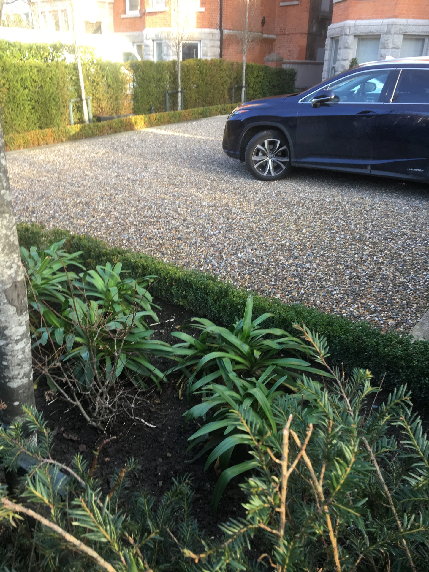 Kinsale Driveway 20mm Round Sea Driveway Pebble x 30 ton Bulk load ( 450m2 coverage ) Free Shipping!