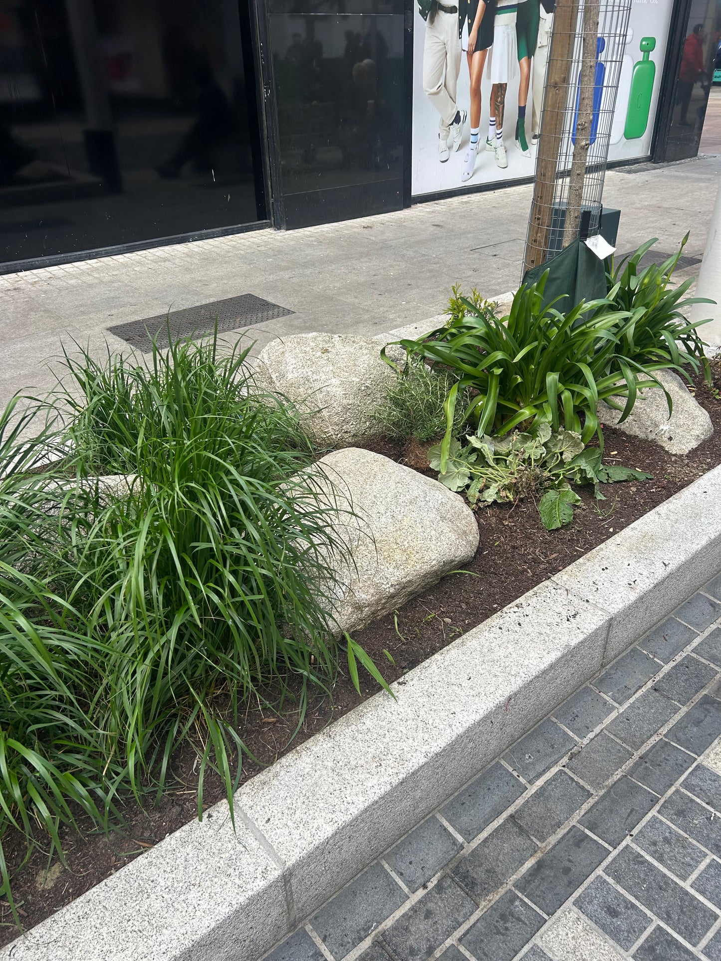 Granite Glacial Landscape Boulders, Large Specimen Stones, Sold Individually