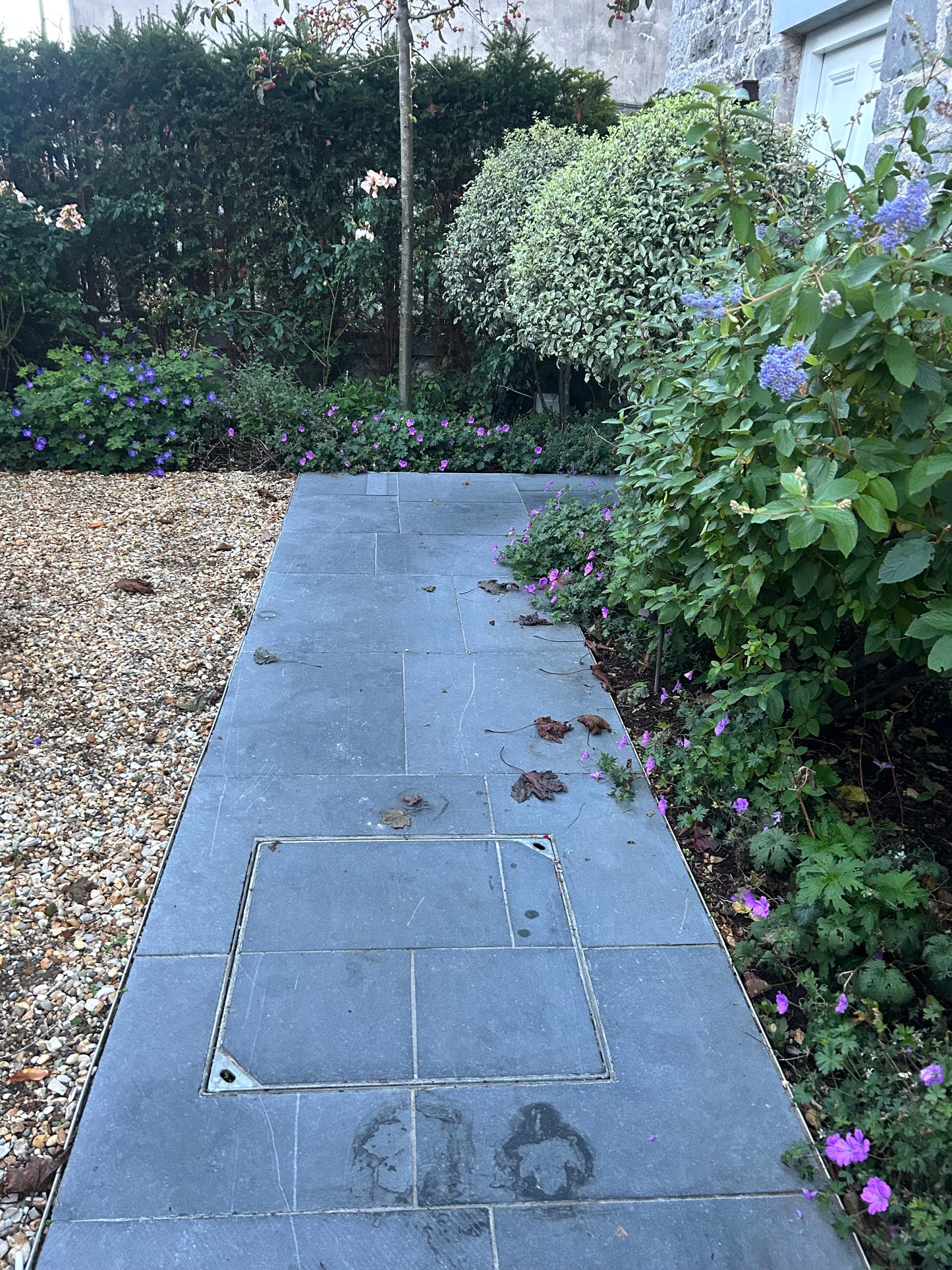 Kilkenny  Flamed Cashel Blue Limestone Flagstones 600mm x 900mm x 30mm x 10m2 Pallet / Free Delivery in Ireland