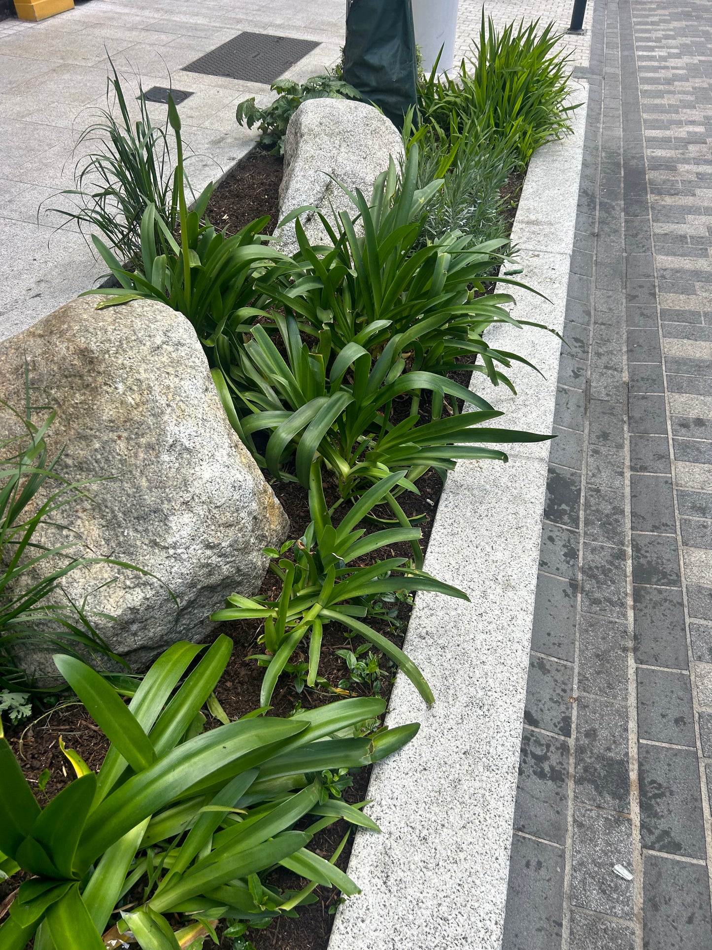 Granite Glacial Landscape Boulders, Large Specimen Stones, Sold Individually