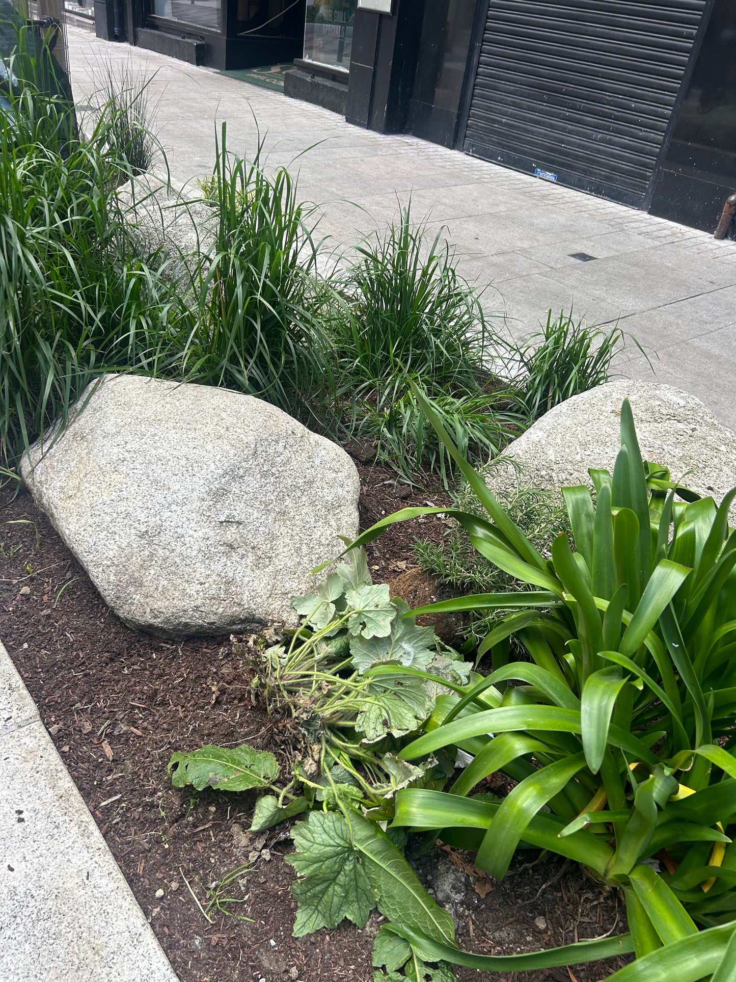 Granite Glacial Landscape Boulders, Large Specimen Stones, Sold Individually