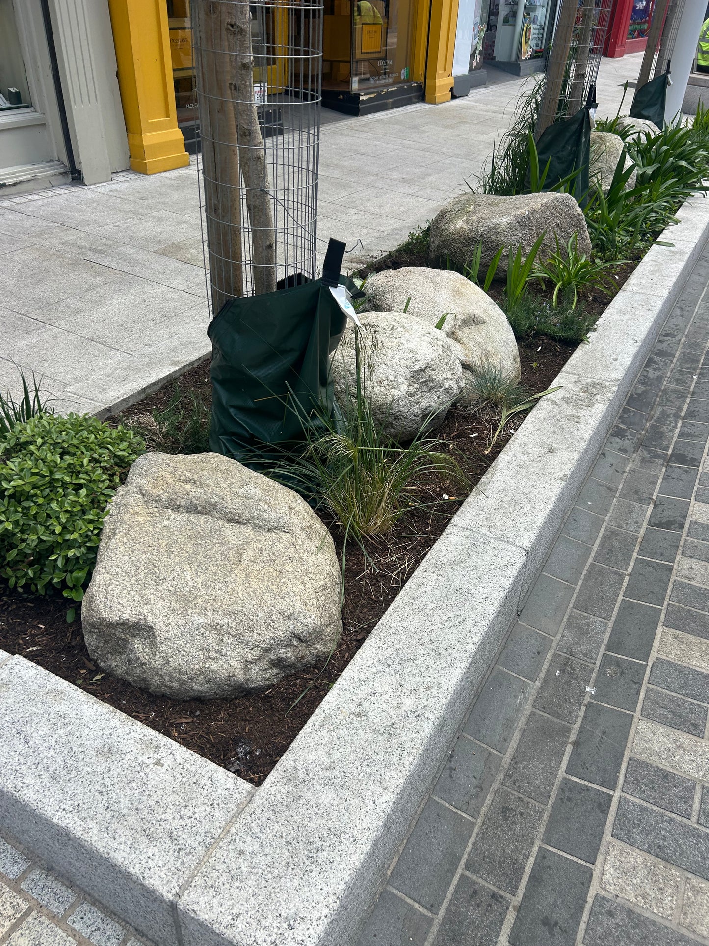 Granite Glacial Landscape Boulders, Large Specimen Stones, Sold Individually