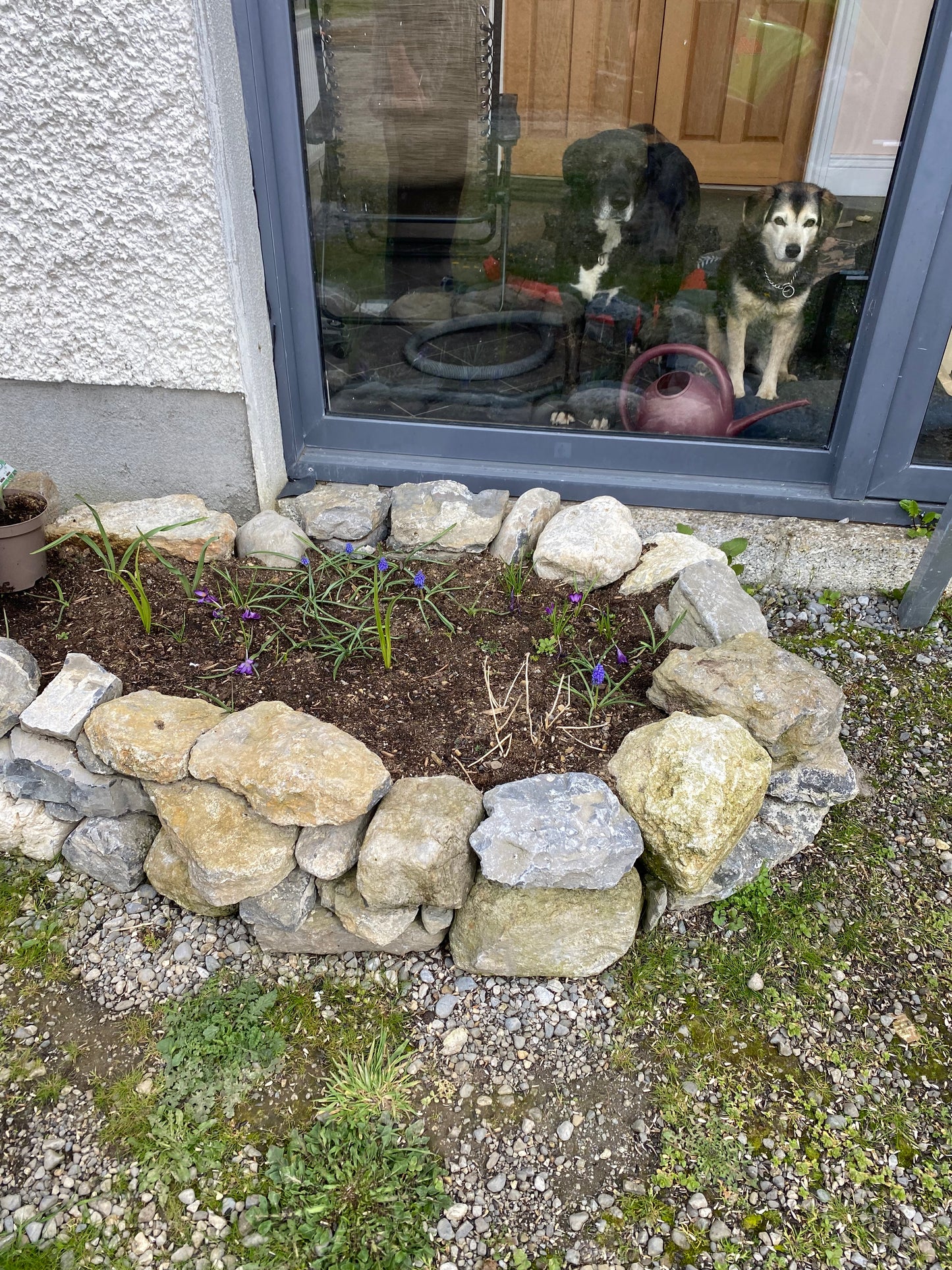 Irish Round Pond Mini Boulders in Bulk Bag / Free Delivery in Ireland