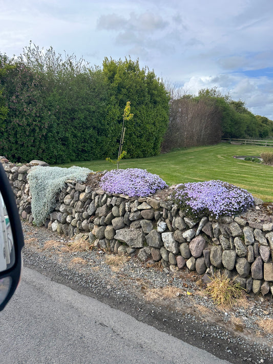 Ballycotton Round Coastal Walling Stone / Bulk deal / Artic Lorry x 30 bulk bag deal / 35% off / free delivery Ireland