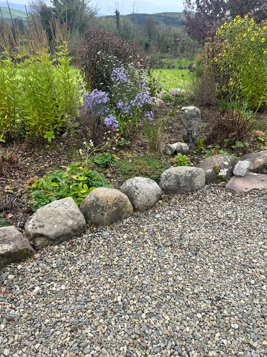 Ballycotton Medium Sized Glacial Round Boulders x 20 pallet deal / Free Delivery in Ireland 45% off Summer Deal !