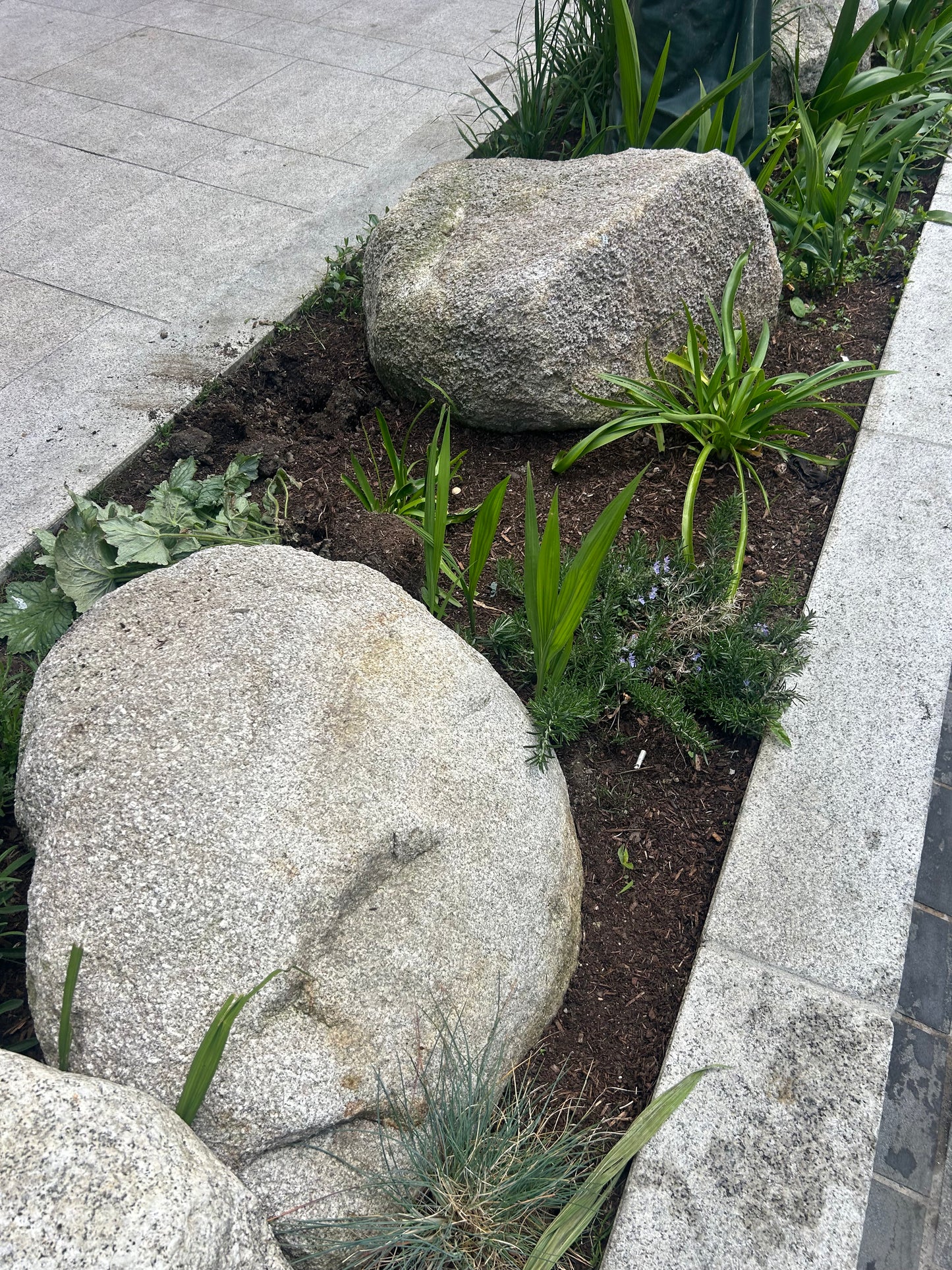 Granite Glacial Landscape Boulders, Large Specimen Stones, Sold Individually