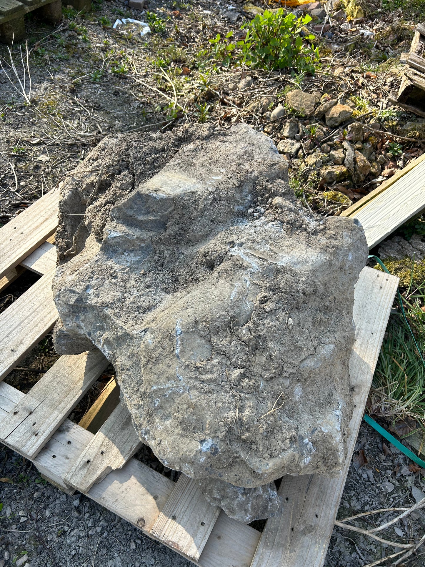 Karst Wild Atlantic Way Limestone Landscape Boulders Sold individually on pallets