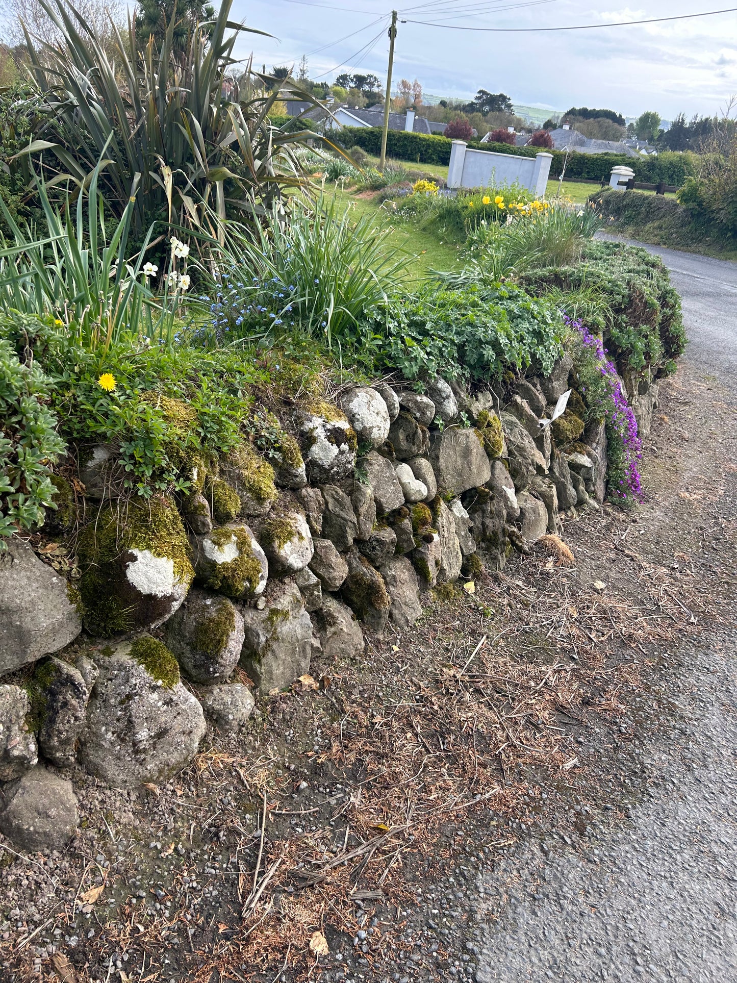 Ballycotton Round Coastal Walling Stone / Bulk deal / Artic Lorry x 30 bulk bag deal / 35% off / free delivery Ireland