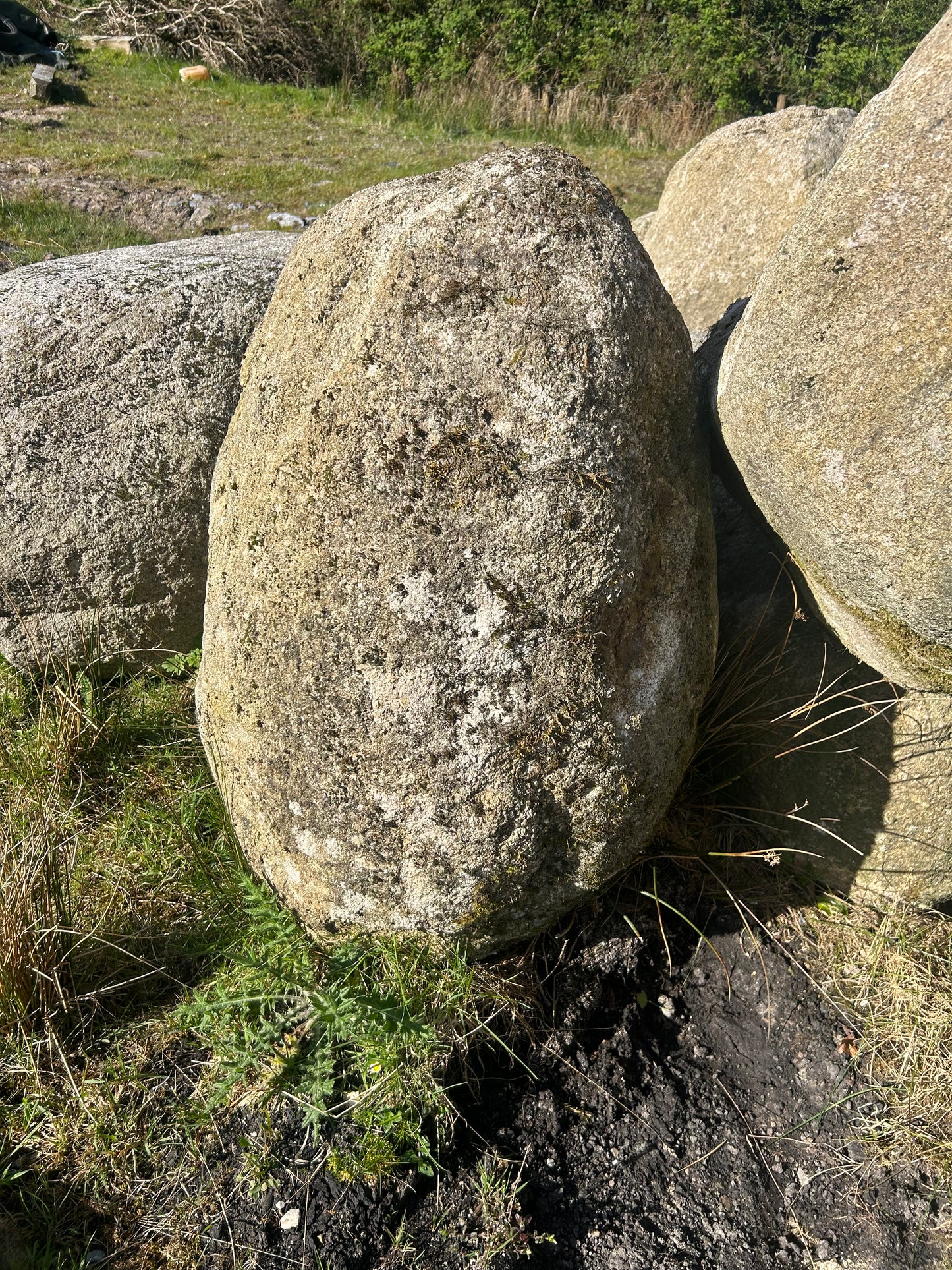 A January Sale on 20 large Glacial Granite Round Landscape Boulders on Pallets with Free Delivery in Ireland / 50%Off!!!!