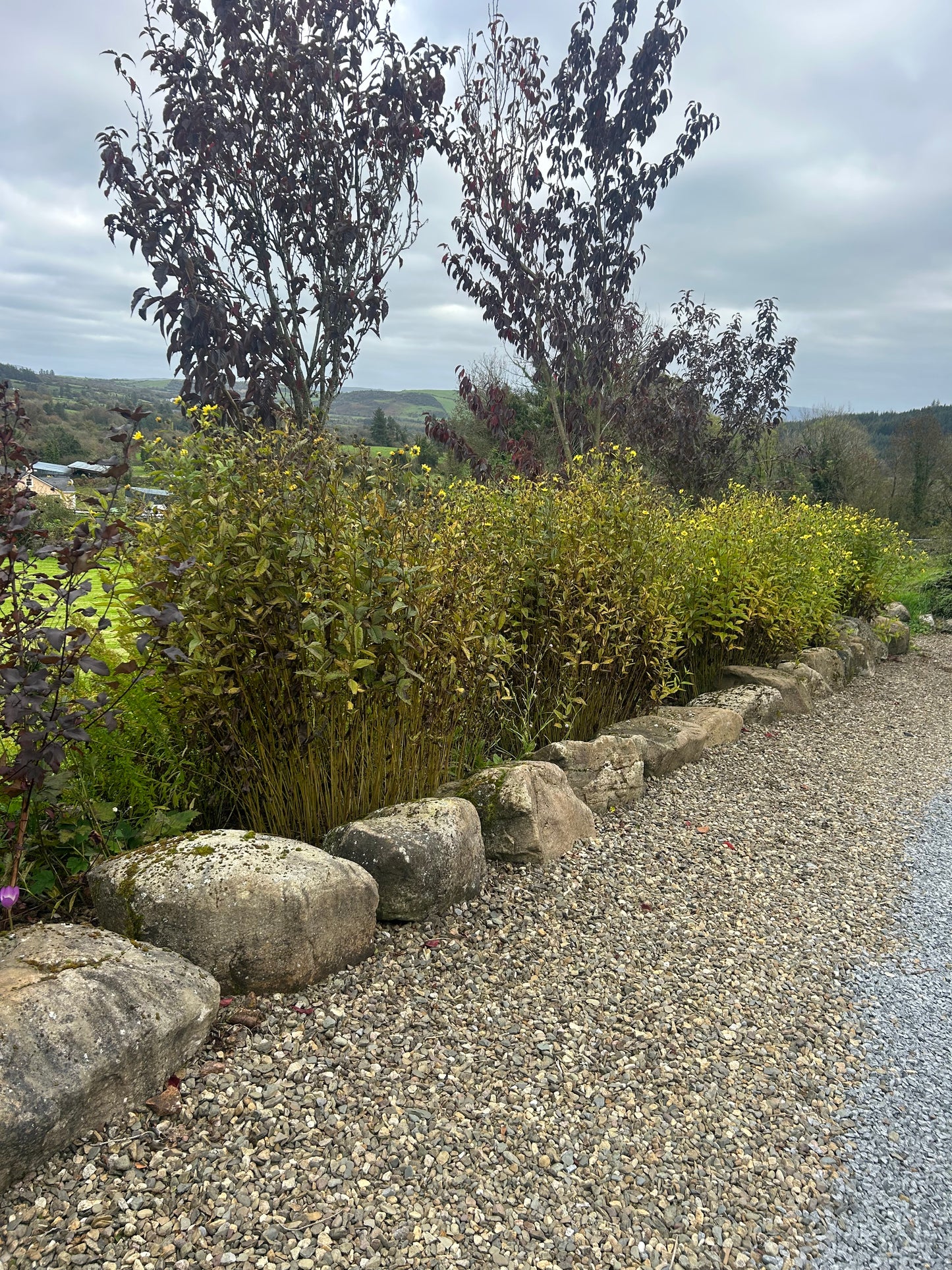 Ballycotton Pond Landscaping Boulders Per Pallet