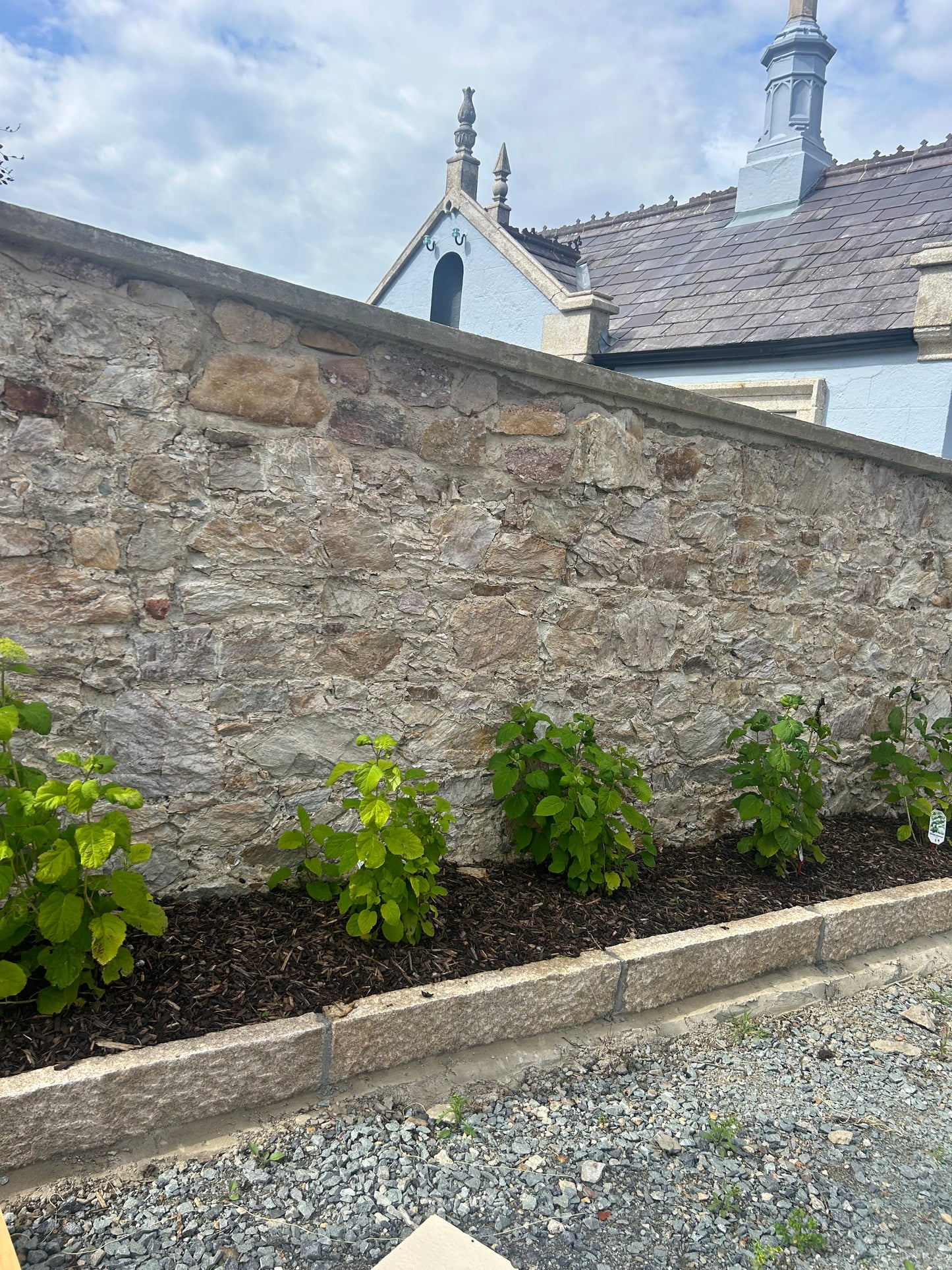 Wicklow Chiseled Golden Granite 8” High Driveway Kerbs x 200 linear meters summer sale deal / Free Delivery in Ireland