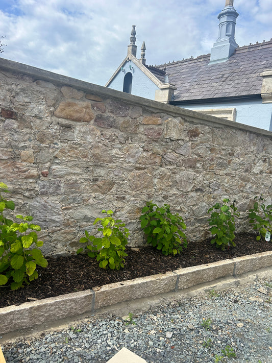Wicklow Chiseled Golden Granite 8” High Driveway Kerbs x 200 linear meters summer sale deal / Free Delivery in Ireland