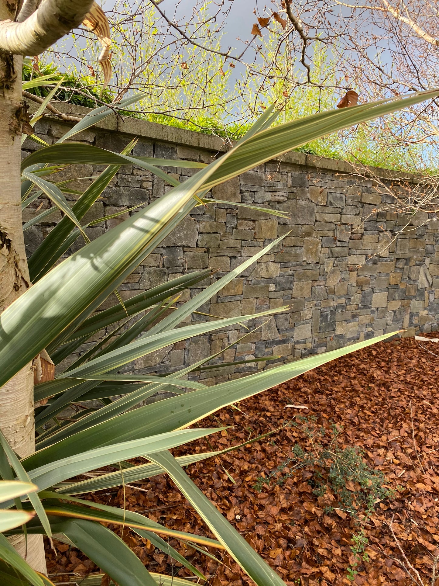 Wild Atlantic Way Irish Classic Building Stone Mix in Bulk Bags / Free Delivery in Ireland