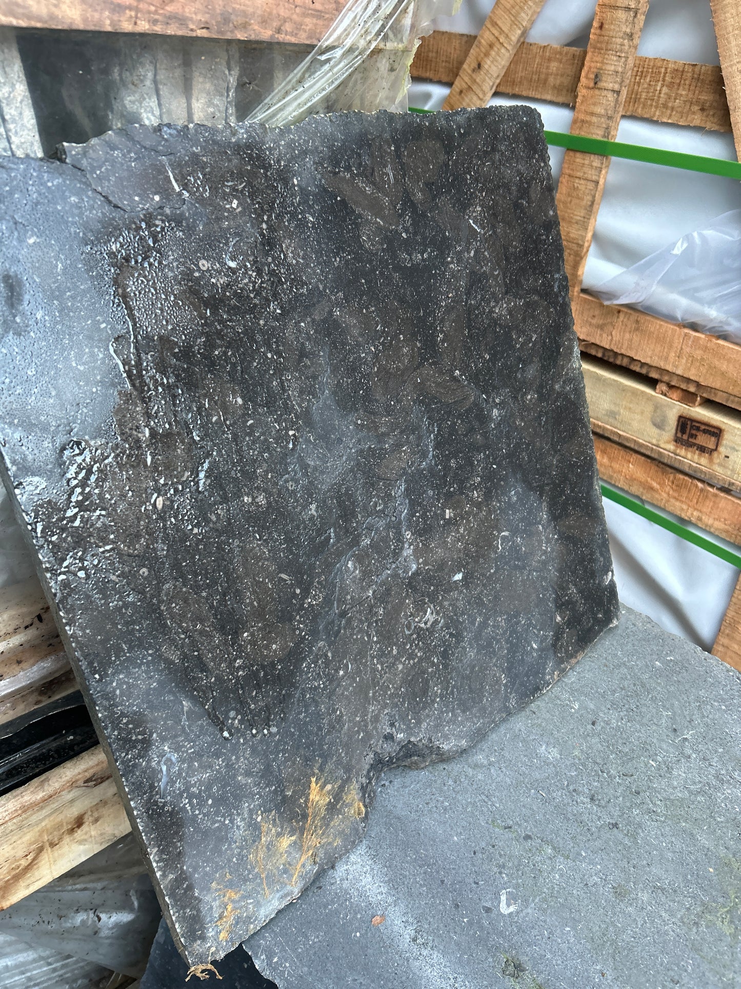 Old Salvage Reclaimed Brussels Blue Flagstones 20 inches x 20 inches x 1” x  100m2 Summer Deal !!! / Free Delivery in Ireland