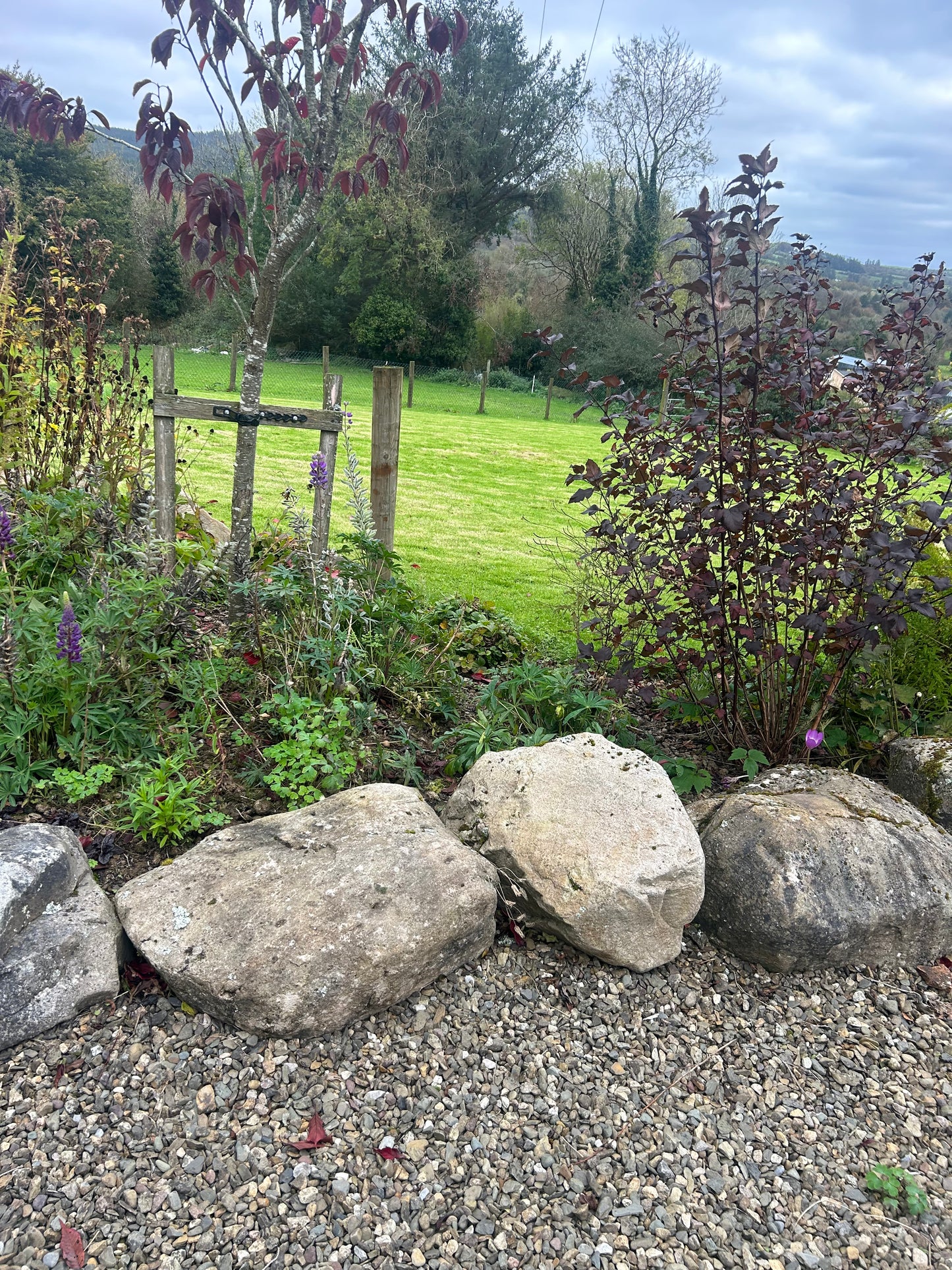 Ballycotton Pond Landscaping Boulders Per Pallet