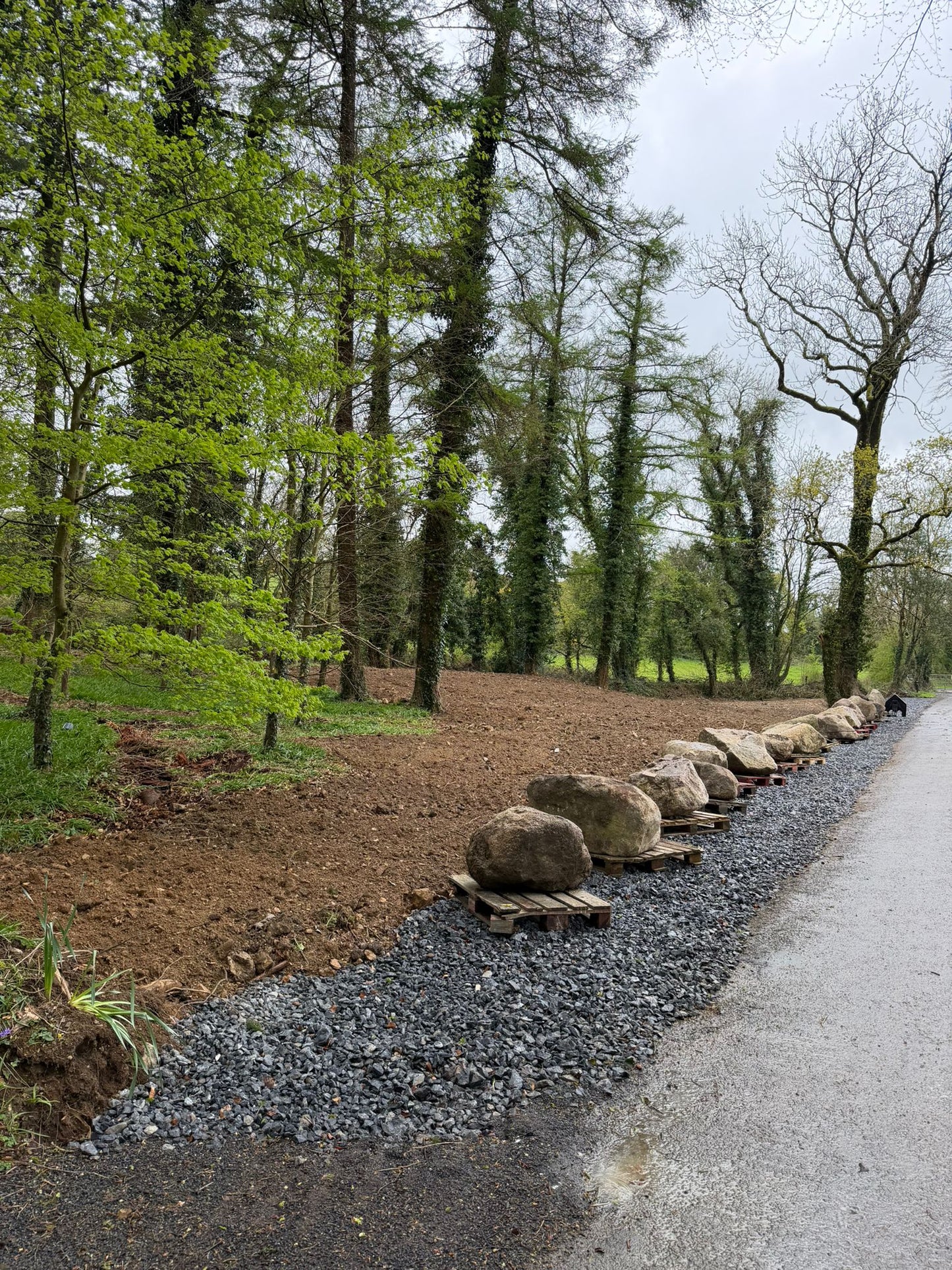 Extra Large Glacial Granite Landscape Boulders 30 ton load x 20 boulders delivered free in Ireland