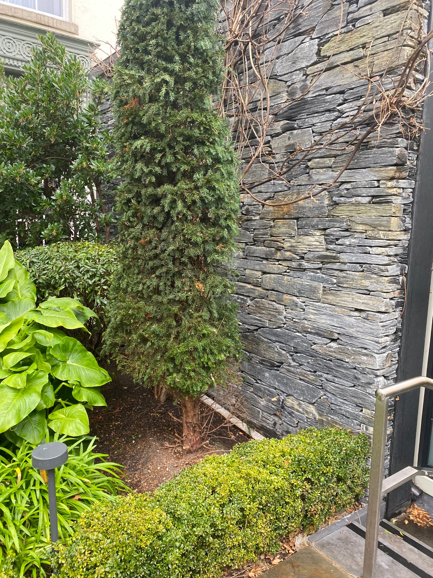 Donegal Premium Grade Black Natural Slate Building Stone Guillotened / Packed in Jumbo Bulk Bags / Free Delivery in Ireland