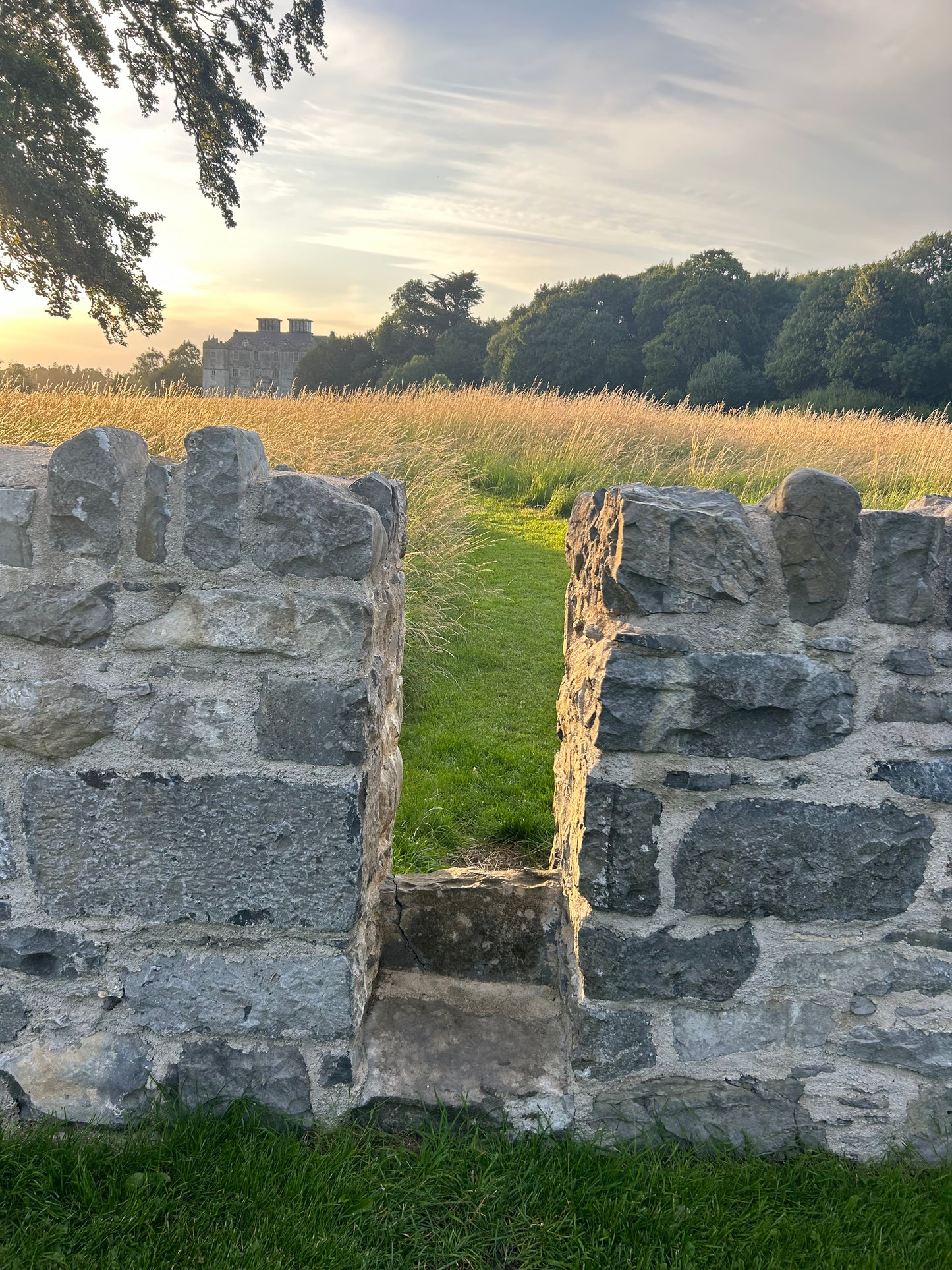 Old Salvage Reclaimed Galway Limestone Building Stone x 30 bulk bag / full artic load deal / free delivery Ireland 35% off !!!