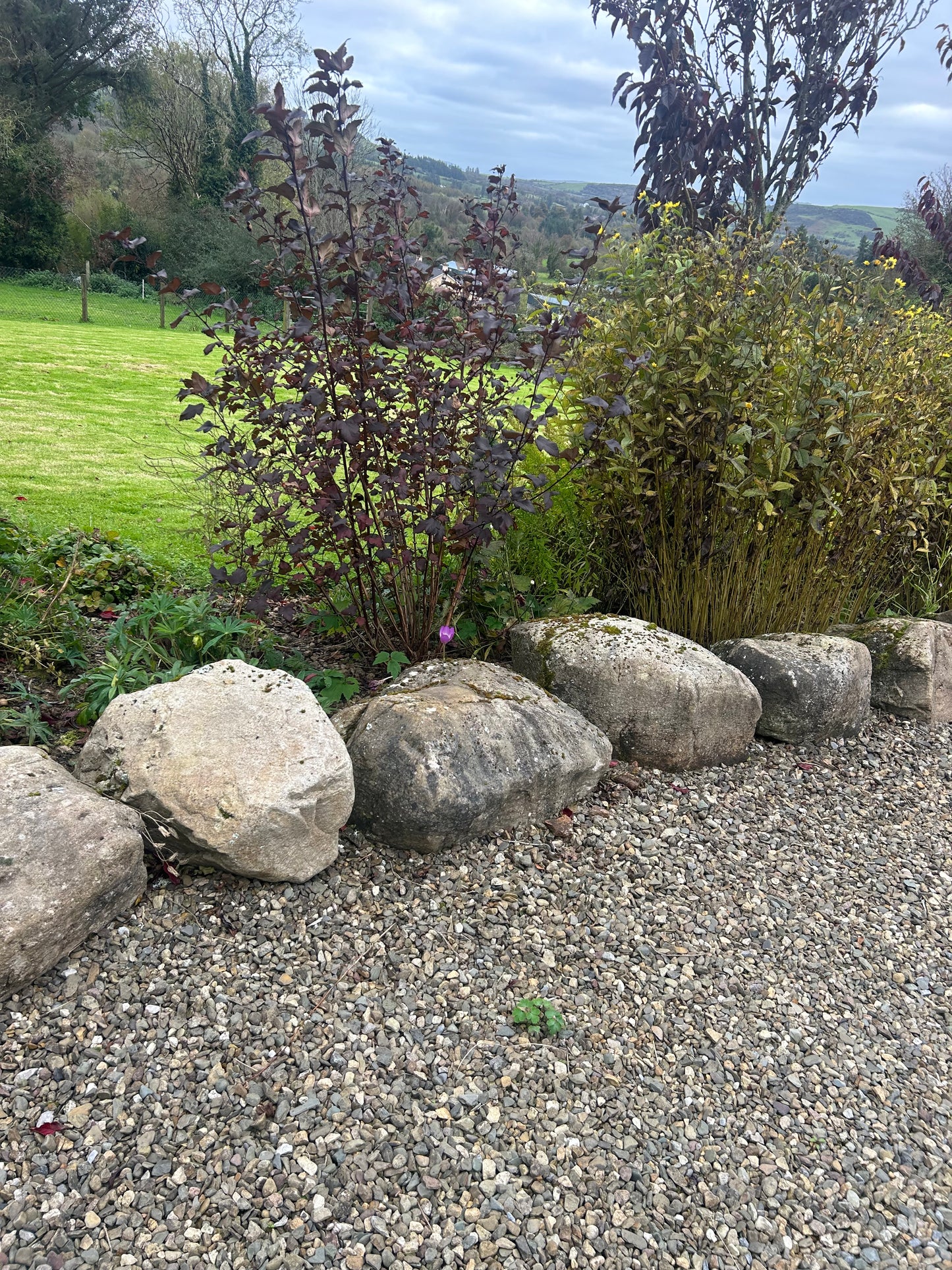 Ballycotton Pond Landscaping Boulders Per Pallet