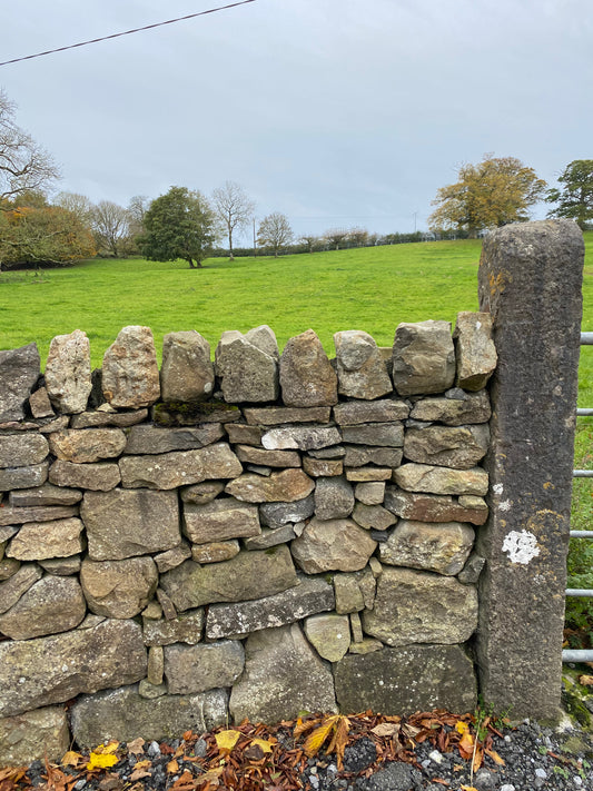 Old Postman Pat  Random Walling Stone Bulk Bag