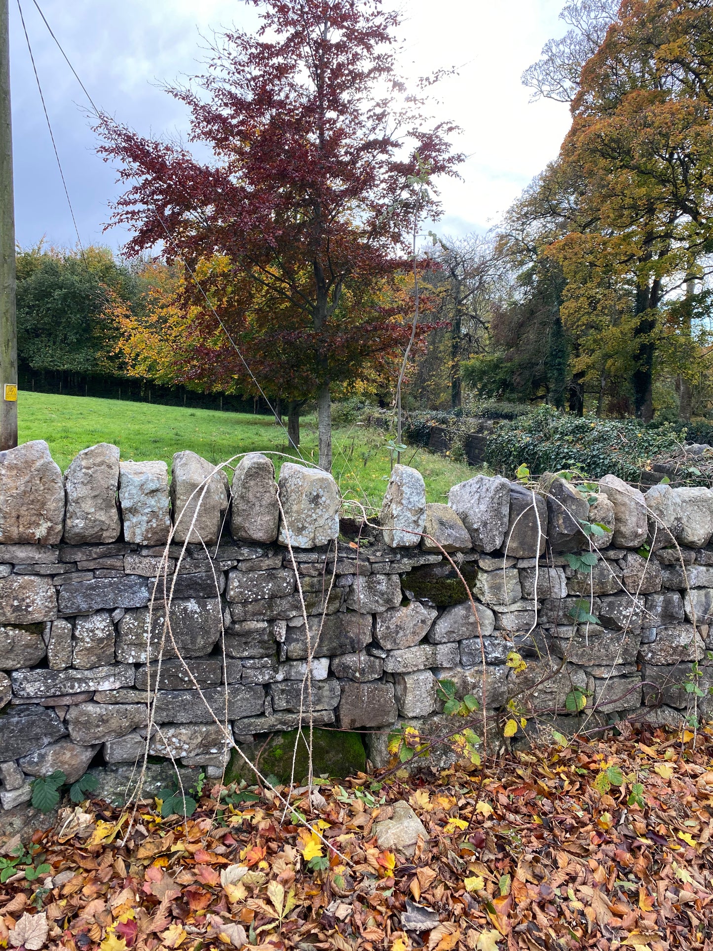 Old Postman Pat  Random Walling Stone Bulk Bag