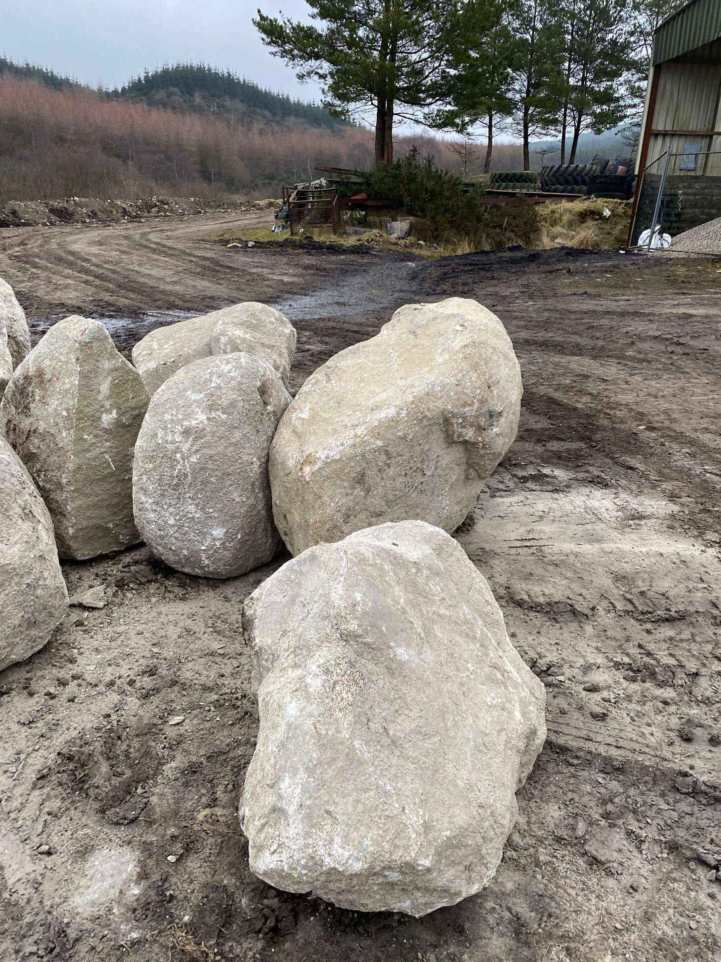 Glacial Granite Landscape Boulders 20 Tonne Load