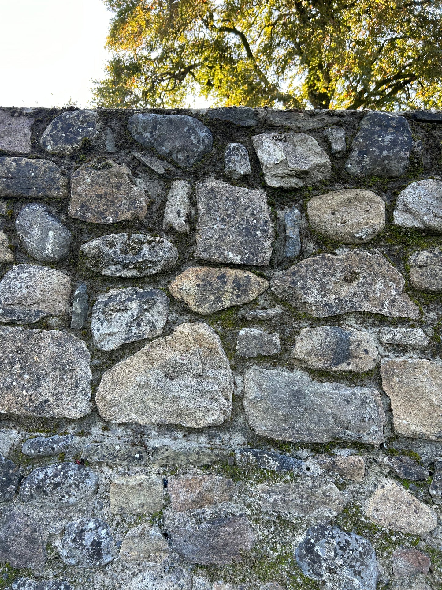 Ballycotton Round Boulder Building Stone Bulk Bag