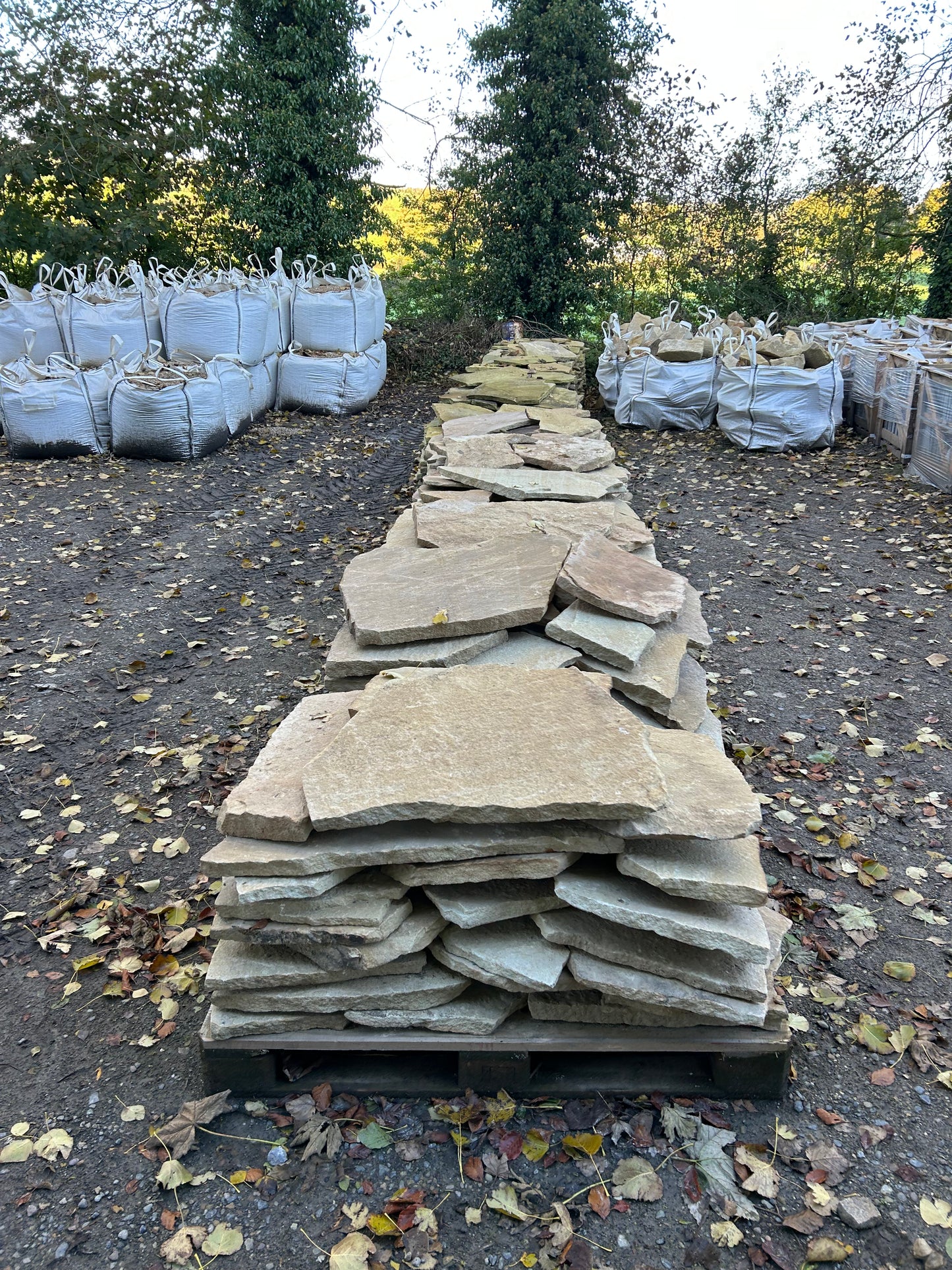 Clonaslee Large Random Cream Flagstones 6m2 Pallet