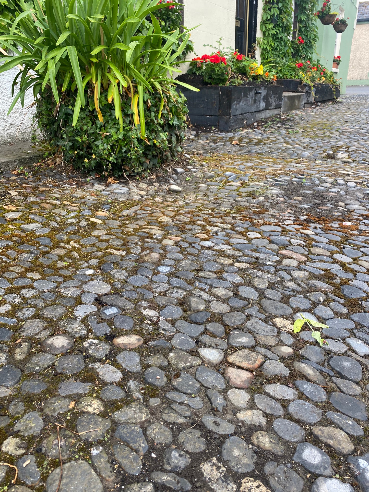 West Cork Duck Cobblestone Bulk Bag